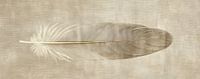 Tableau de plumes | Sérénité dans une seule plume