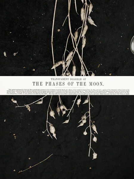 Phasen I von Marianna Geraci