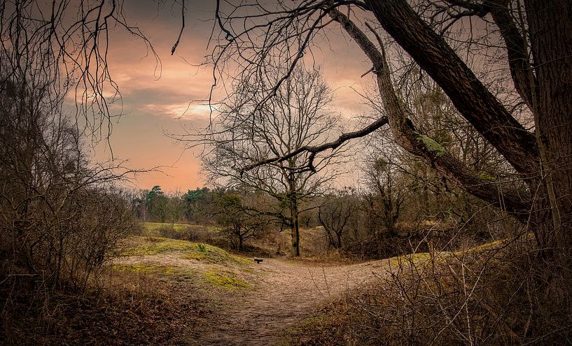 Sentier de promenade de la réserve naturelle Tenellaplas Oostvoorne par By Marjolein Design