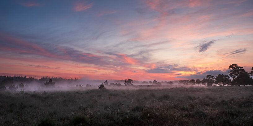 Lever de soleil au Leersumse Veld dans le parc national d'Utrechtse Heuvelrug (panorama) par Moetwil en van Dijk - Fotografie