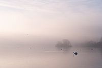A morning at the Kralingse Plas