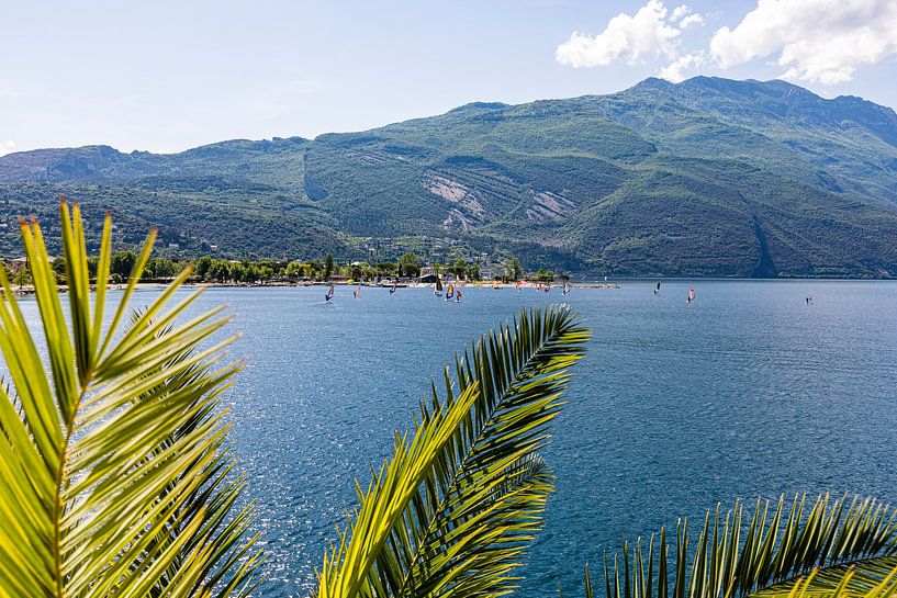 Planche à voile à Torbole sur le lac de Garde en Italie par Werner Dieterich