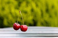Rode kersen