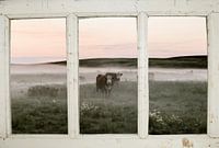 Boerderijraam met koeienweide