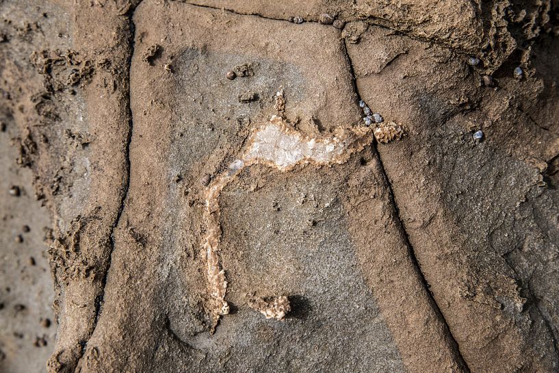 Kristal in gesteente par WvH