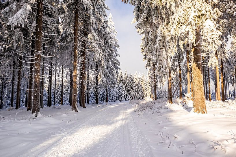 Tour de ski de fond par un temps impérial dans la forêt enneigée de Thuringe près de Floh-Seligenthal - Thuringe - Allemagne par Oliver Hlavaty