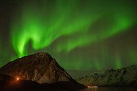 Aurores boréales Lofoten