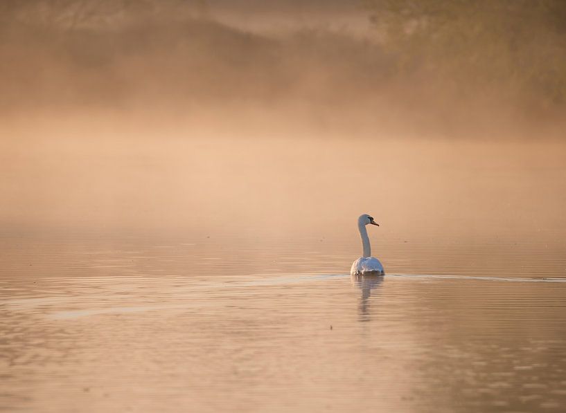 Meinerswijk part 35 by Tania Perneel