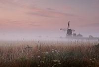 Brouillard dans le polder