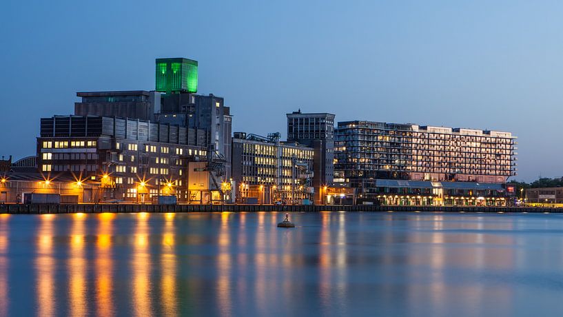 Codrico &amp; Phoenix von Rob Altena