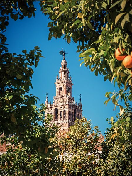 Sevilla - La Giralda par Alexander Voss