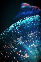 la lumière dans l'obscurité