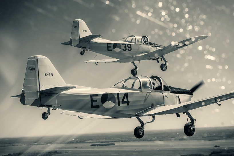 Züchter Vier von Joost van Doorn