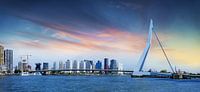 Rotterdam spectacular view over the Erasmus Bridge