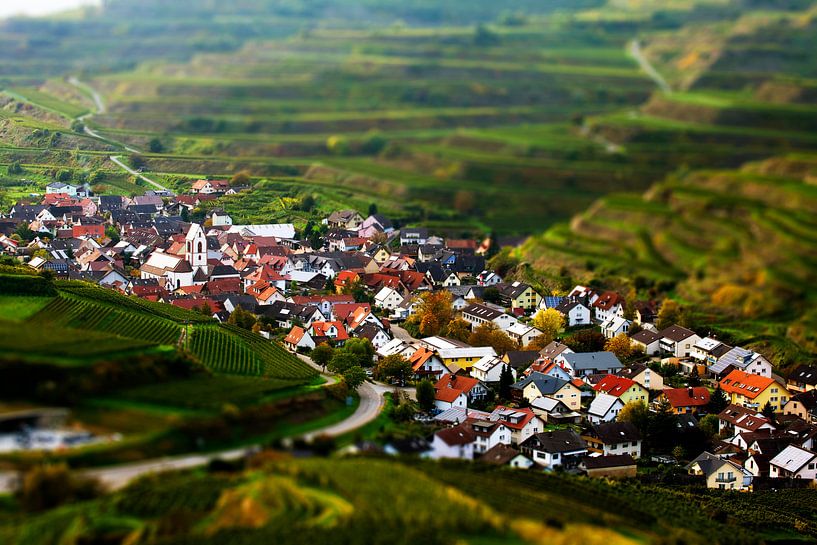 Dorf in den Weinreben von Jürgen Wiesler