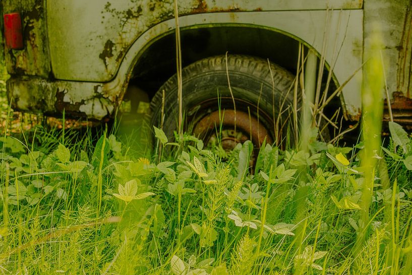 Abandoned Van in Green – Rusted Wheel Arch &amp; Tire | Urban Nature Wall Art by Brave Toaster Photography