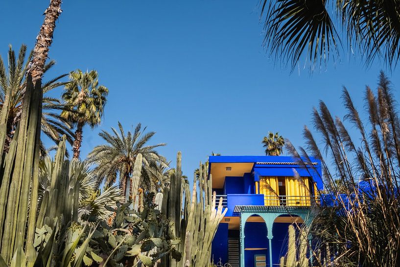 Der Garten von Yves Saint Laurent, Jardin Majorelle, in Marrakesch, Marokko. von W Machiels
