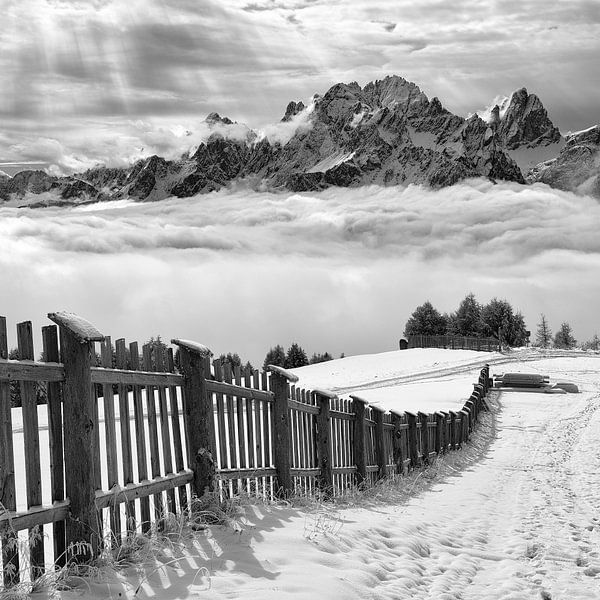 Elemente von Swapnil 