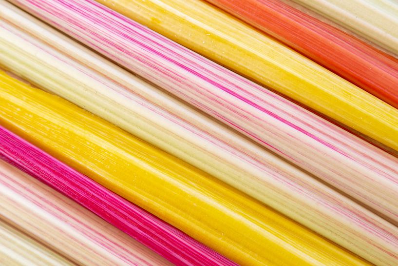 Diagonales Muster von Königsmangold von Hilda Weges