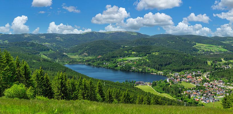 Ein Sommertag im Hochschwarzwald von Markus Lange