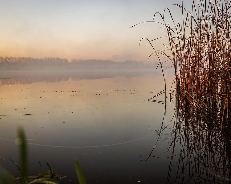 Le ruisseau Axel par Wesley Kole