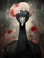 Black Swan 1