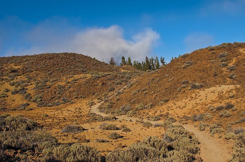 Hiking trail through the volcanic landscape of Teide national park, Tenerife by Kristof Lauwers