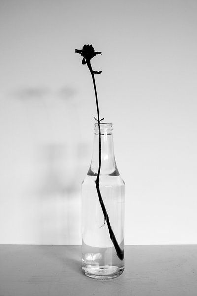 Nature morte 02 par Mia Art and Photography