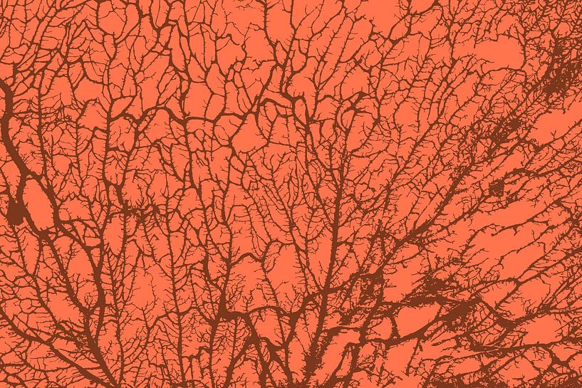 Die Seele des Waldes von Mad Dog Art