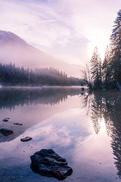 Where Water Fairies dwell II by Coen Weesjes