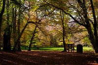 Pescocostanzo Bosco di Sant Antonio 8