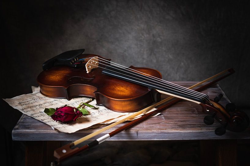 Violon avec rose par Mariette Kranenburg