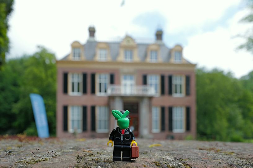 Der Mann mit Apple von Eric de Haan