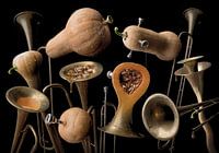 Trompette de Butternut