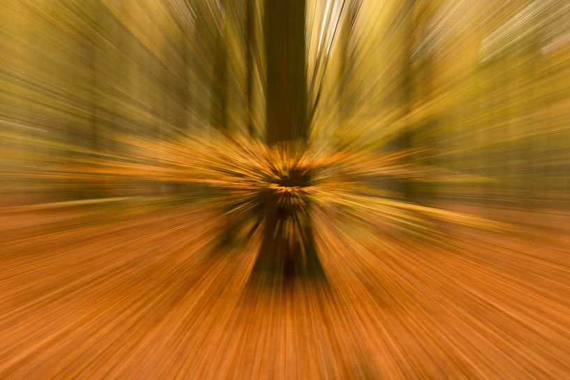 Der Herbst in den Niederlanden auf künstlerische Art und Weise. von Franke Fotografie