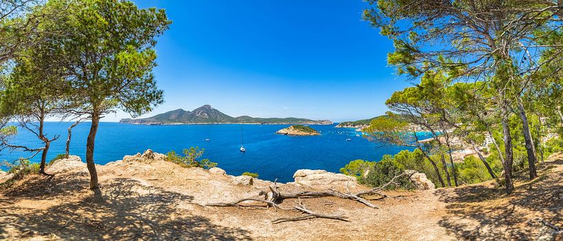 Vue panoramique de la côte de Sant Elm avec les points de repère naturels que sont les îles Sa Drago par Alex Winter