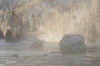 Weihnachtsbaum-Felsen