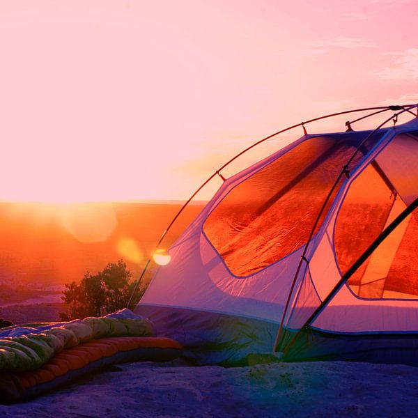 Kiss of the sun by Mad Dog Art