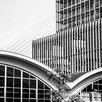 Rotterdam à la tête du Sud