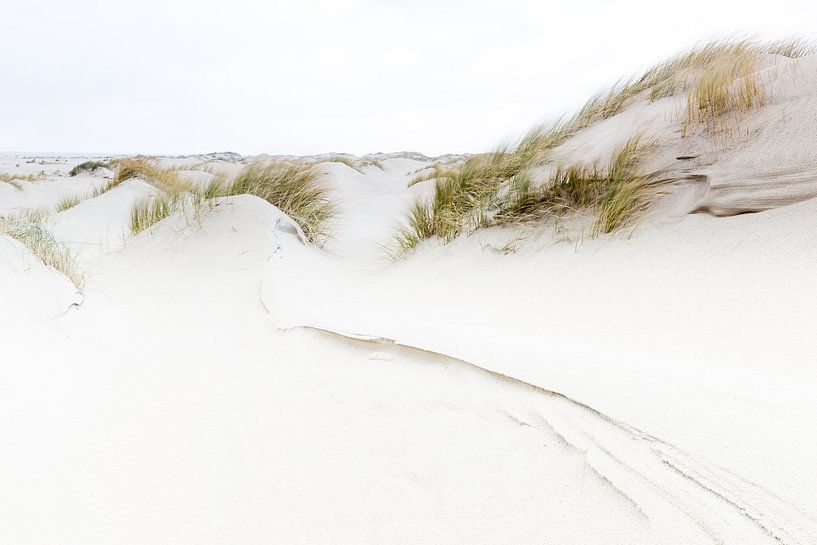Dünen von Texel von Judith Borremans Natuurfotografie