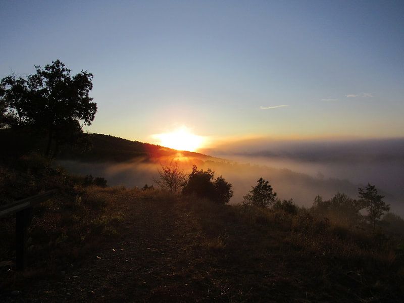Zonsopgang Provence par Lex Pichel