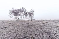 Ruhe & Stempel; Raum