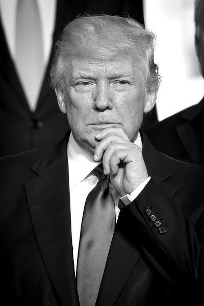 Le président américain Donald Trump par Patrick van Emst