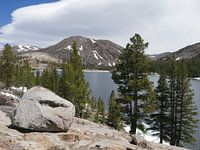 Mountain lake with ice and pine trees just outside Yosemite National Park