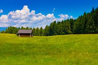 Kabine auf der Heide