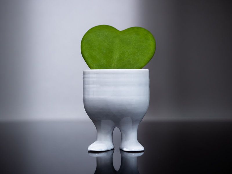 A love for green by Stijn Cleynhens