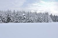 schneebedeckte Landschaft