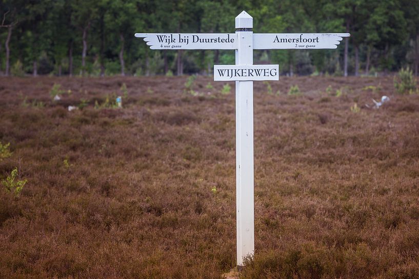 Keuzes par Vincent van den Hurk