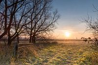 Verlaten erf aan de Gaternissekreek bij Sasput net na zonsopkomst