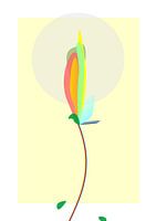 Flower bud in front of sun